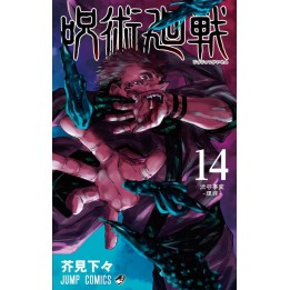 Jujutsu Kaisen 14