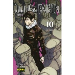 Jujutsu kaisen 10