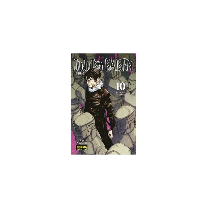 Jujutsu kaisen 10