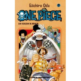 One Piece 17