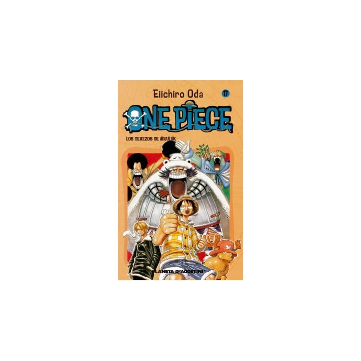 One Piece 17