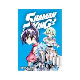Shaman King 11