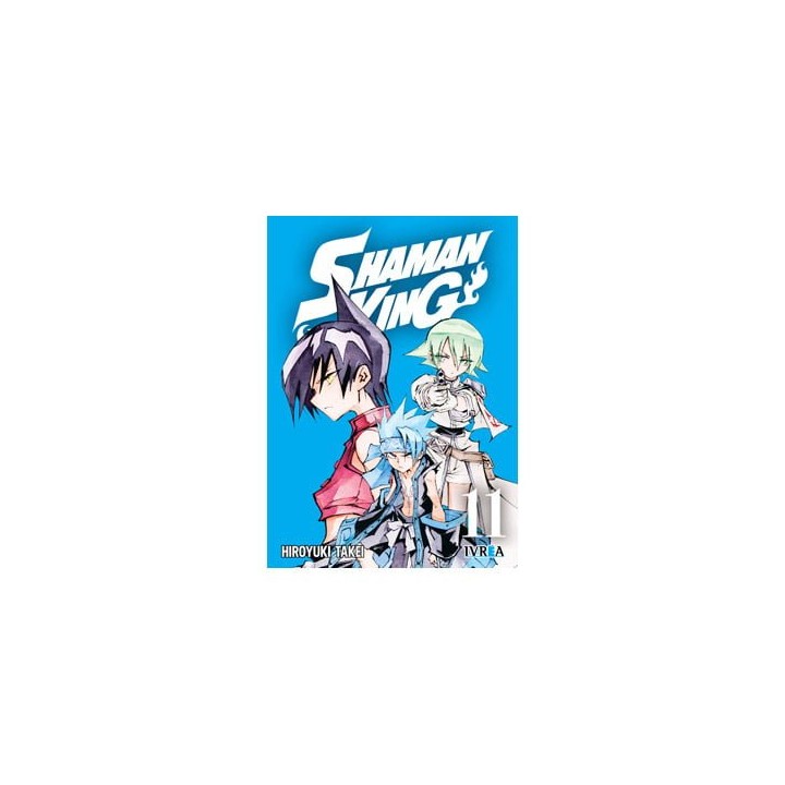 Shaman King 11
