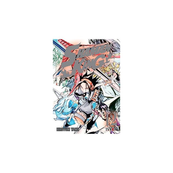 Shaman King 12