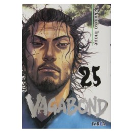 Vagabond 25