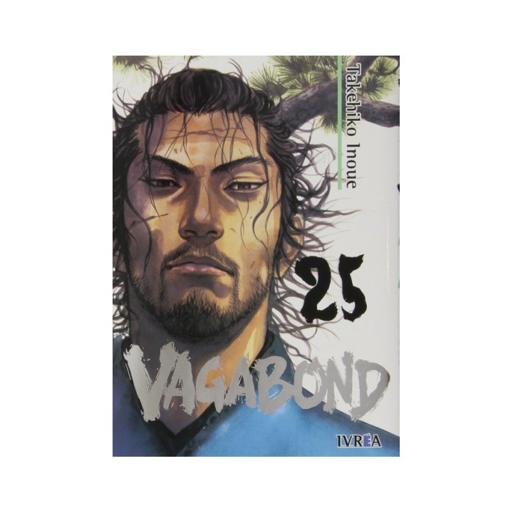 Vagabond 25