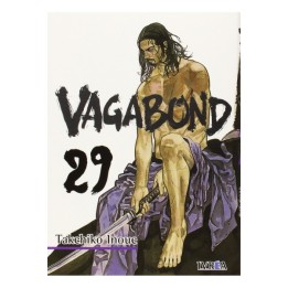 Vagabond 29